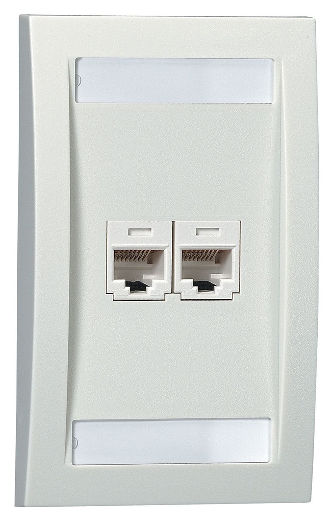 Jack wall plate panduit 2 salida, beige (CFPE2IWY)