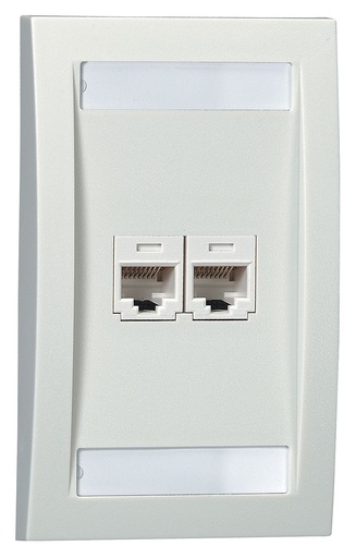 Jack wall plate panduit 2 salida, beige (CFPE2IWY)