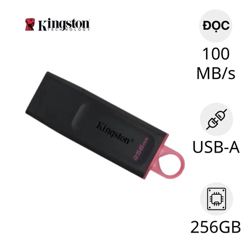 Memoria USB 256GB Kingston, 3.2 GEN1 datatraveler exodia (black + pink)