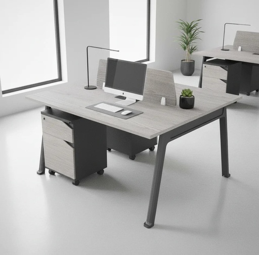 Escritorio estacion de trabajo (workstation) Myo, 2 modulos, 1 gaveta + 1 almacenamiento