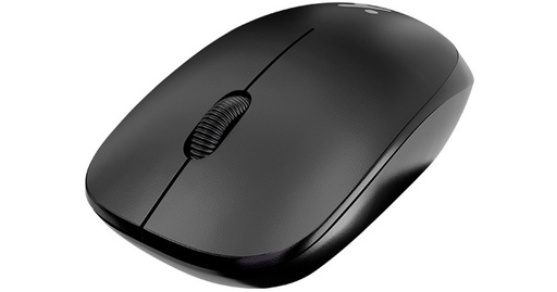 Mouse Xtech wireless optical, 3 botones, adaptador usb, negro (XTM-309)